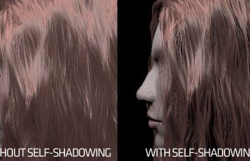 Self-shadowing-BH