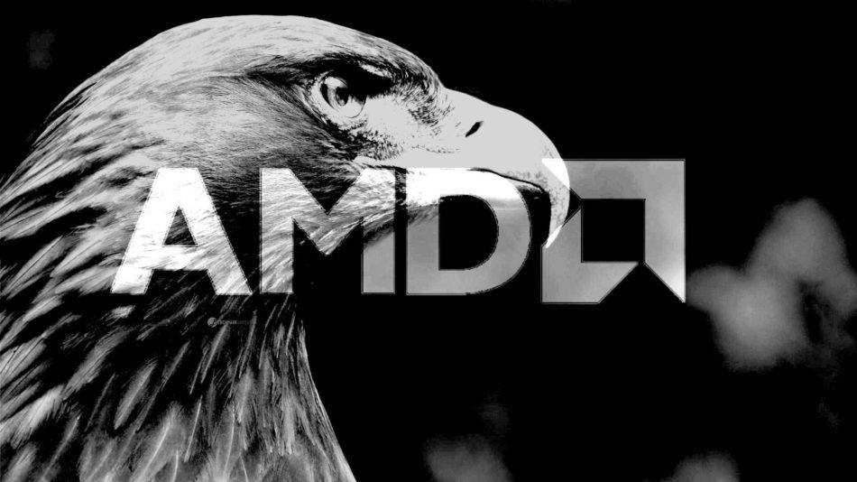 AMD Gray Hawk llegará en 2019