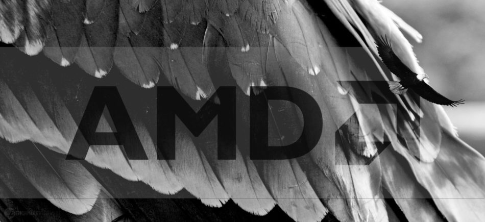 Las APU Avian expanden el roadmap de AMD hasta 2019